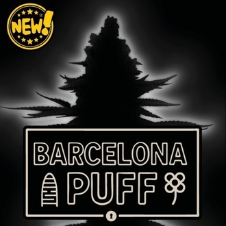 Barcelona Puff Auto (Seedstockers) Feminiserade