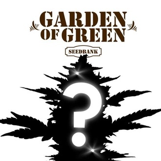 CBD Mystiskt Fr&ouml; 1 (Garden of Green)