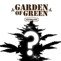 CBD Mystiskt Frö 1 (Garden of Green)