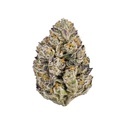Lemon Cherry Runtz (Fast Buds) feminiserad