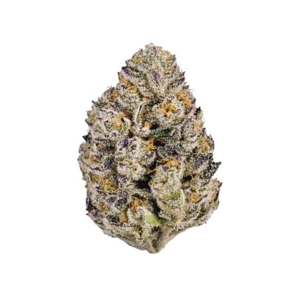 Lemon Cherry Runtz (Fast Buds) feminiserad