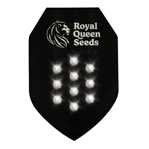 Autoflower Mysteriefrön 10 (Royal Queen Seeds)