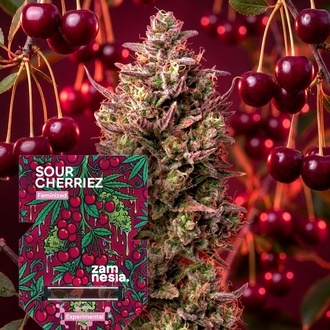 Sour Cherriez (Zamnesia Seeds) Feminiserade