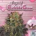 Bubblegum (T.H. Seeds) Feminiserade