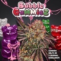 BubbleGummieZ (T.H. Seeds) Feminiserad