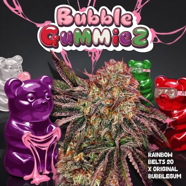 BubbleGummieZ (T.H. Seeds) Feminiserad