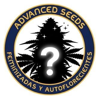 Feminiserade Mystery-fr&ouml;n 2 (Advanced Seeds)