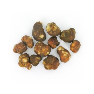 Mexicana Magiska tryfflar