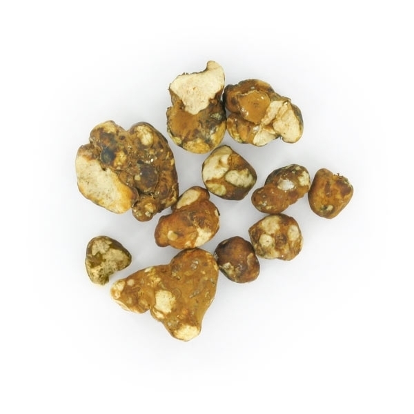 Tampanensis Magiska tryfflar