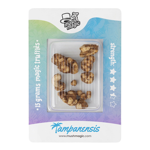 Tampanensis Magiska tryfflar
