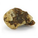 Atlantis Magic Truffles