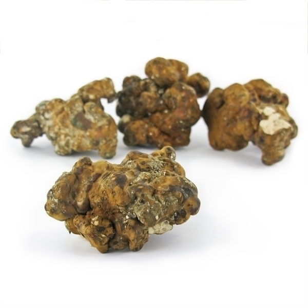Hollandia Magiska tryfflar