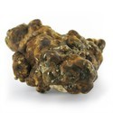 Hollandia Magiska tryfflar