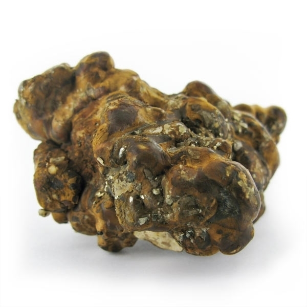 Hollandia Magiska tryfflar