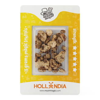 Hollandia Magiska tryfflar