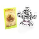 Anubis (Pyramid Seeds) Feminiserade