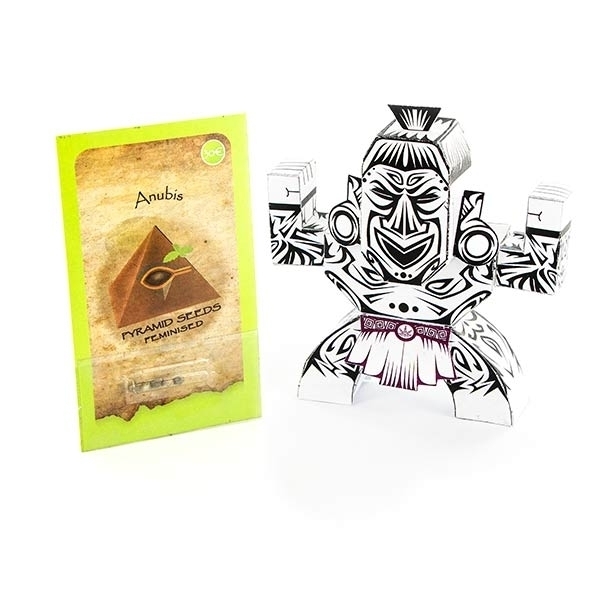 Anubis (Pyramid Seeds) Feminiserade