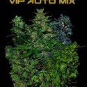 VIP Auto Mix (VIP Seeds) Feminiserade
