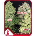 Kollektion 1 (Medical Seeds) Feminiserade