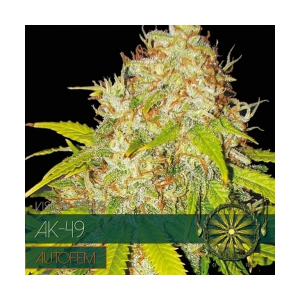 AK-49 Autoflower (Vision Seeds) Feminiserade