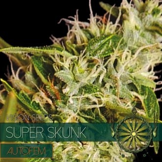 Super Skunk Autoflower (Vision Seeds) Feminiserade