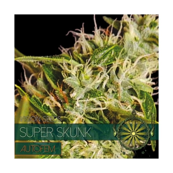 Super Skunk Autoflower (Vision Seeds) Feminiserade