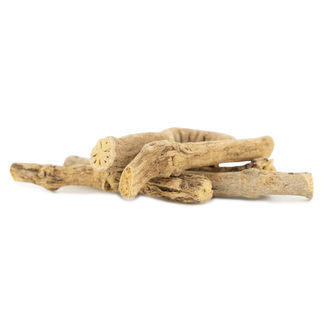 Afrikansk drömrot (5 gram)