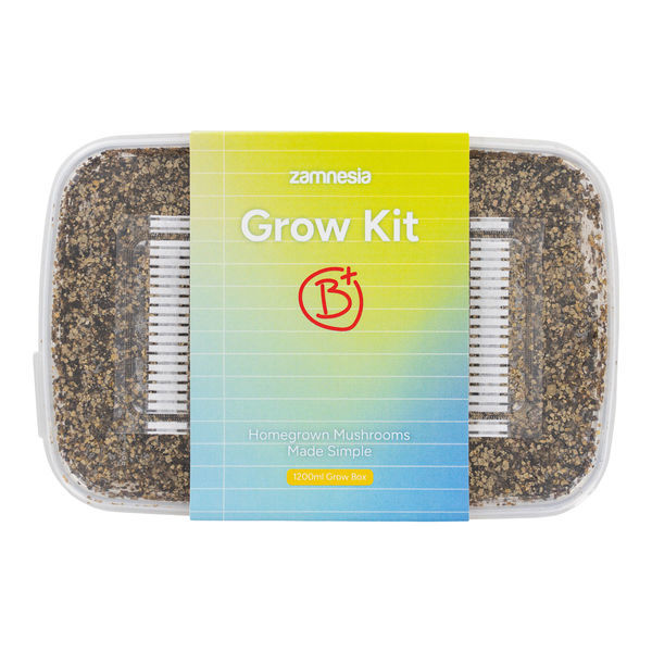 Zamnesia Classic Grow Kit "B+"