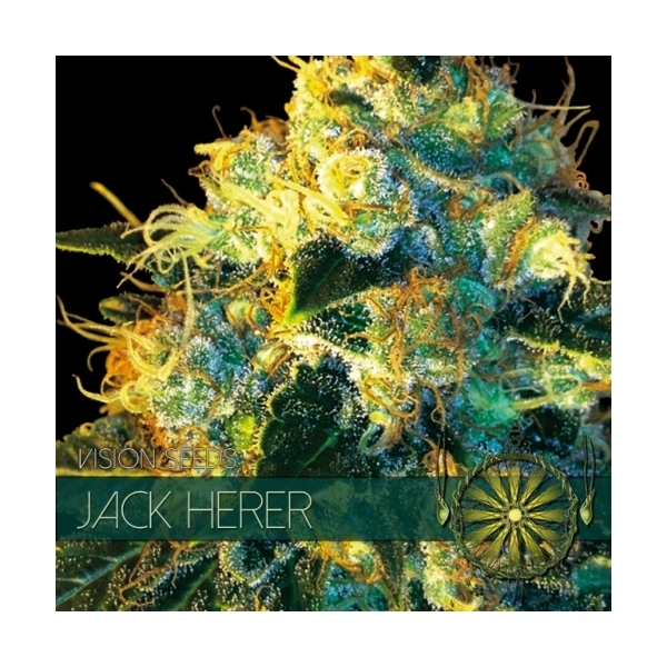 Jack Herer (Vision Seeds) Feminiserade