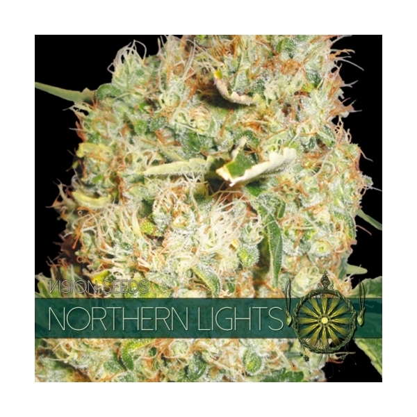 Northern Lights (Vision Seeds) Feminiserade