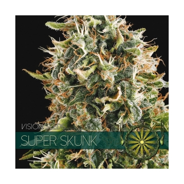 Super Skunk (Vision Seeds) Feminiserade