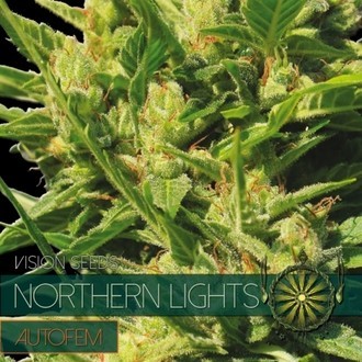 Northern Lights Autoflower (Vision Seeds) Feminiserade