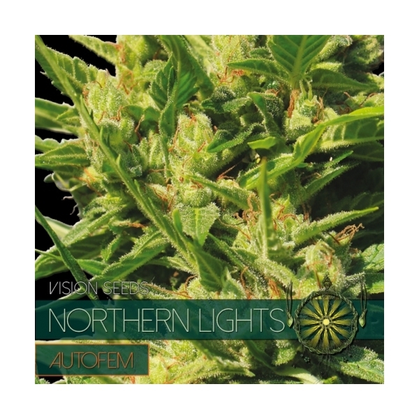 Northern Lights Autoflower (Vision Seeds) Feminiserade