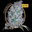 Blueberry Bliss Autoflower (Vision Seeds) Feminiserade