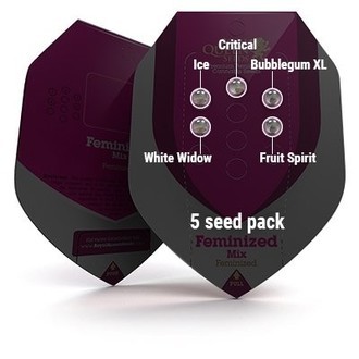 Feminiserad mix (Royal Queen Seeds)