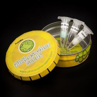 Auto Mix (Philosopher Seeds) Feminiserade