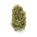 Amnesia Haze (Zamnesia Seeds) Feminiserade
