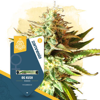OG Kush (Zamnesia Seeds) feminiserade cannabisfr&ouml;n