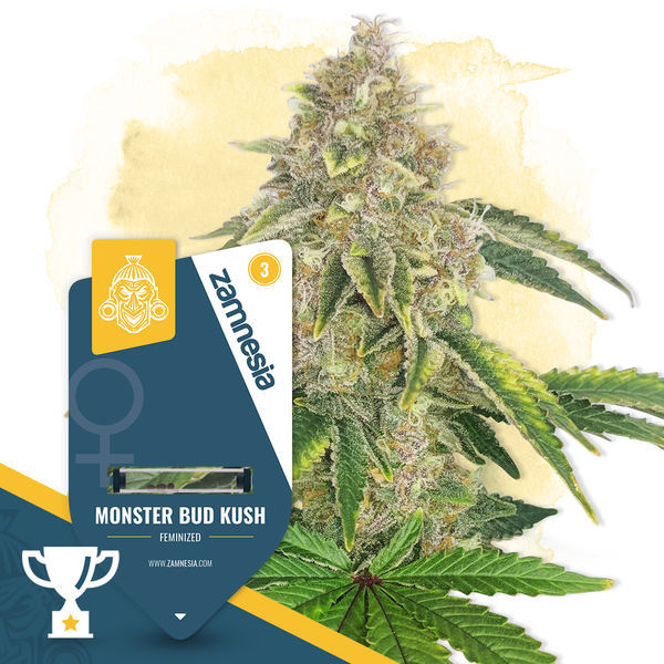 Monster Bud Kush (Zamnesia Seeds) Feminiserade