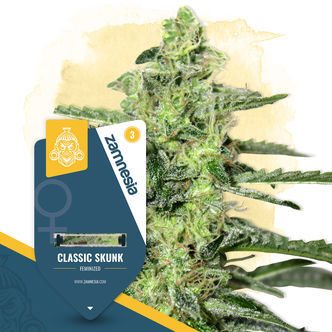 Classic Skunk (Zamnesia Seeds) feminiserade