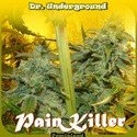PainKiller (Dr. Underground) Feminiserade