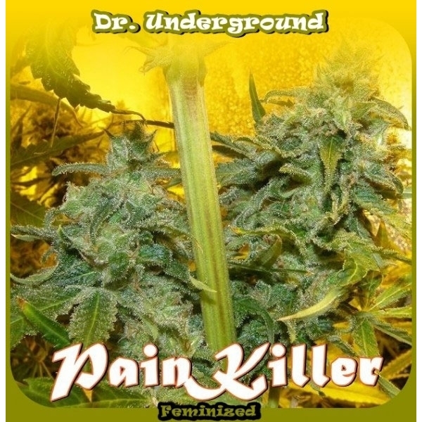 PainKiller (Dr. Underground) Feminiserade