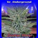 Brooklyn Mango (Dr. Underground) Feminiserade