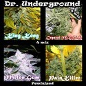 Surprise Killer Mix (Dr. Underground) Feminiserade