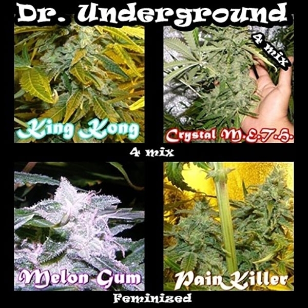 Surprise Killer Mix (Dr. Underground) Feminiserade