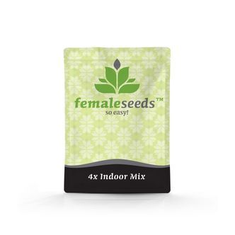 Indoor Mix (Female Seeds) feminiserade
