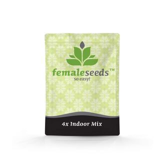 Indoor Mix (Female Seeds) Feminiserade