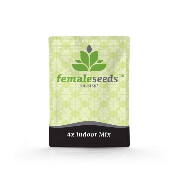 Indoor Mix (Female Seeds) Feminiserade