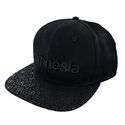 Zamnesia snapback-keps svart