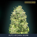 Auto Afghan Skunk (Advanced Seeds) Feminiserade